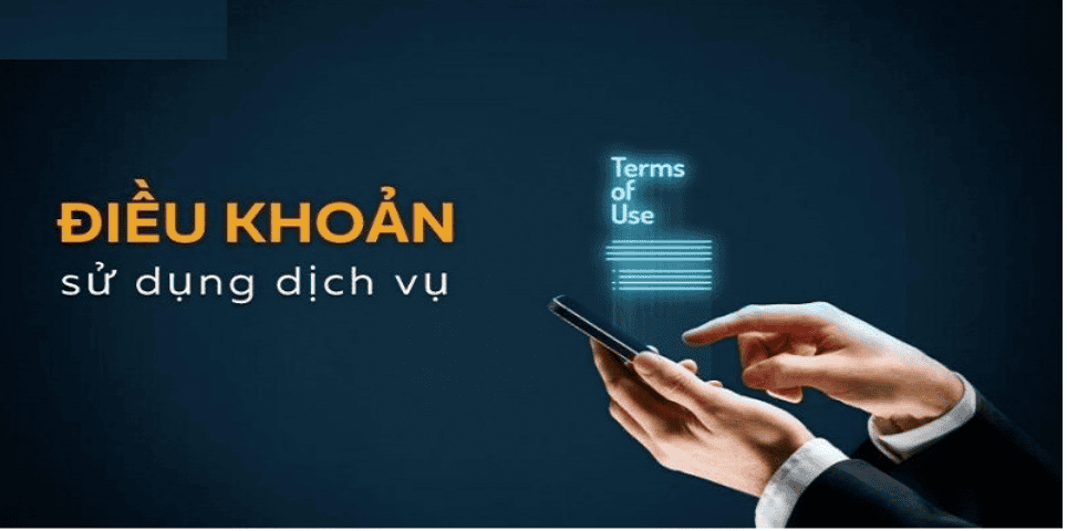 Điều Khoản Điều Kiện tại datacollider.io - Những Thông Tin Quan Trọng Bạn Cần Biết 1 dieu khoan va dieu kien 1 1
